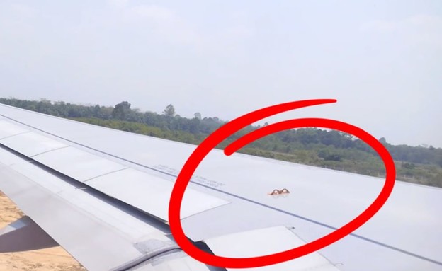 חורים במטוס (צילום: צילום מסך)