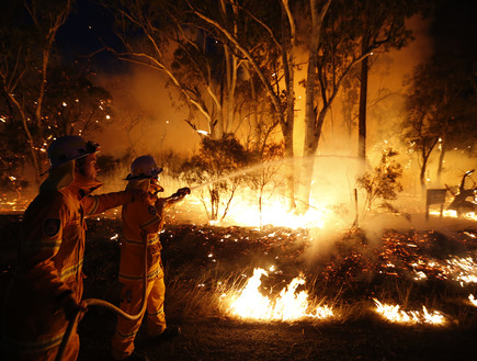 גל חום ושרפות באוסטרליה (צילום: רויטרס_)