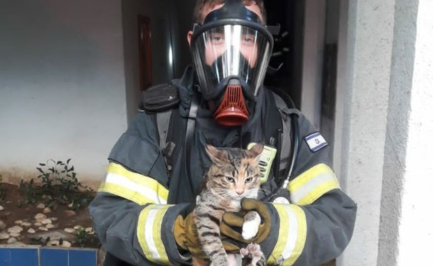 חתולה חולצה על ידי מכבי האש (צילום: כבאות רמת גן , החדשות12)