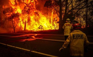 השריפות באוסטרליה (צילום: skynews)
