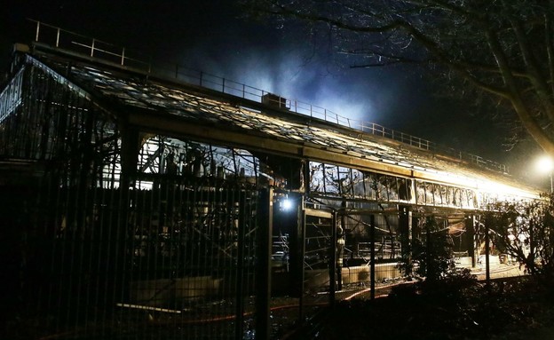 שרפה בגן חיות בגרמניה (צילום: skynews)