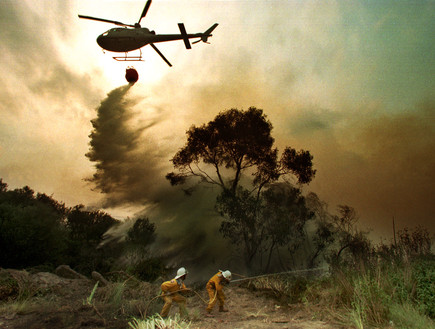 שרפות הענק באוסטרליה (צילום: רויטרס_)