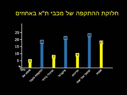 sportFive986141 (צילום: ספורט 5)