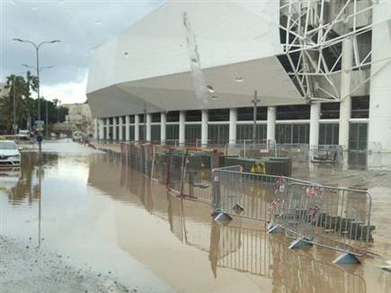 (אודי ציטיאט)