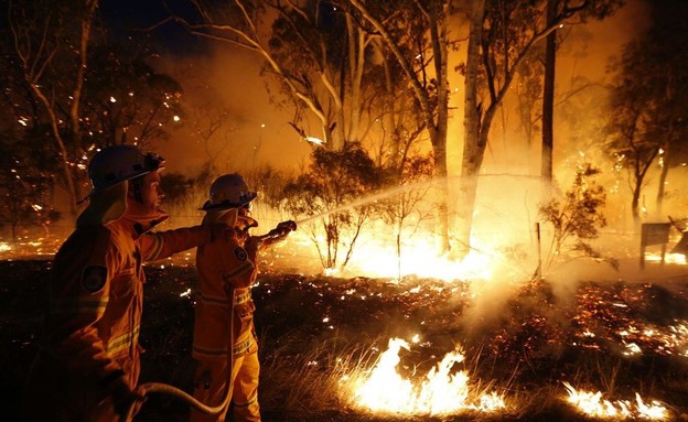 אסון השרפה באוסטרליה (צילום: reuters)
