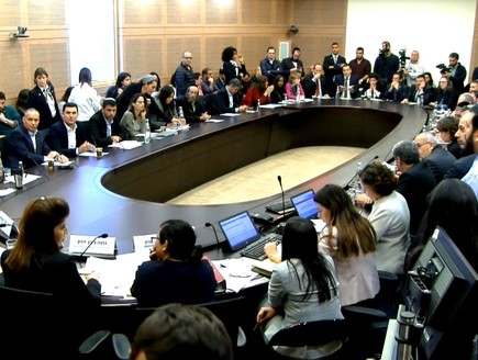 הוועדה המסדרת 13.1.20 (צילום: ערוץ הכנסת)