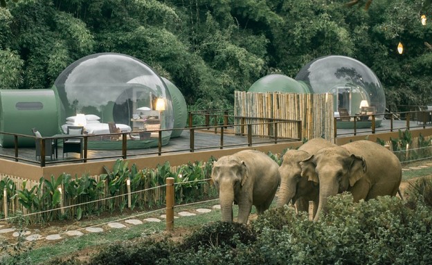 Anantara  (צילום: Anantara Golden Triangle Elephant Camp & Resort)