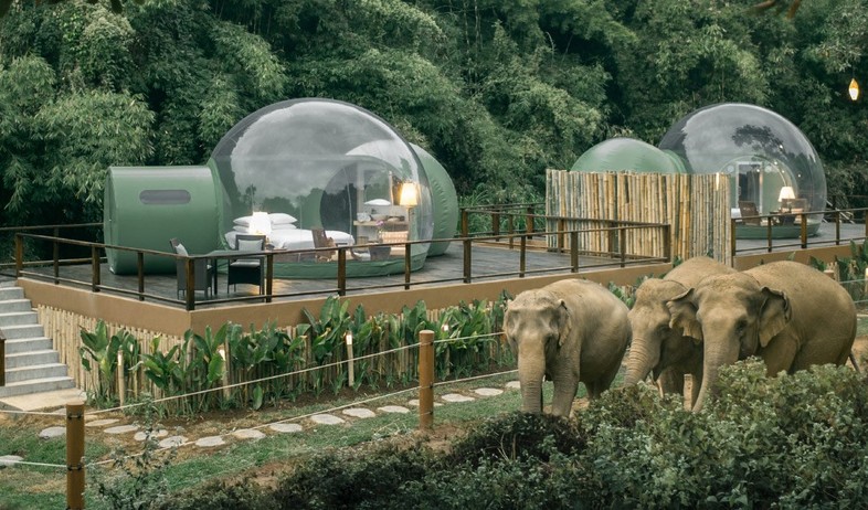 Anantara  (צילום: Anantara Golden Triangle Elephant Camp & Resort)