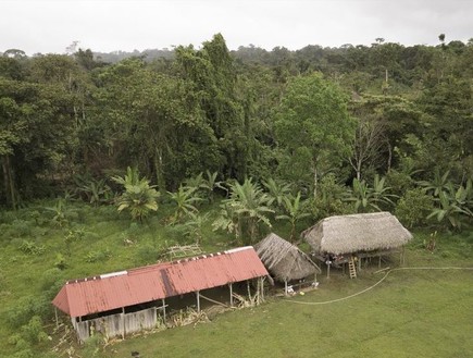 מגורי הכת בפנמה (צילום: AP)