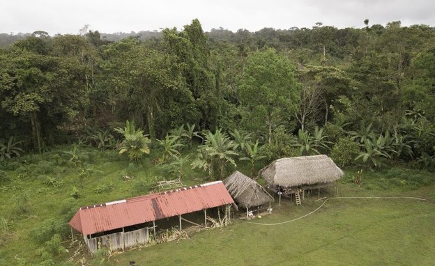מגורי הכת בפנמה (צילום: AP)