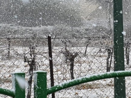 שלג באלון שבות, גוש עציון (צילום: יחל