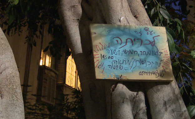 מי הרעיל עצים בני 70 שנה בתל אביב?  (צילום: החדשות12)