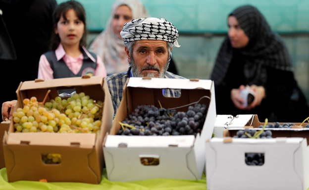 פלסטיני מוכר ענבים בחברון (צילום: רויטרס_)