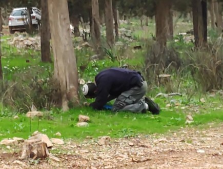 פצצה התגלתה ביער (צילום: אייל זרחי)