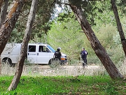 פצצה התגלתה ביער פצצה התגלתה ביער
