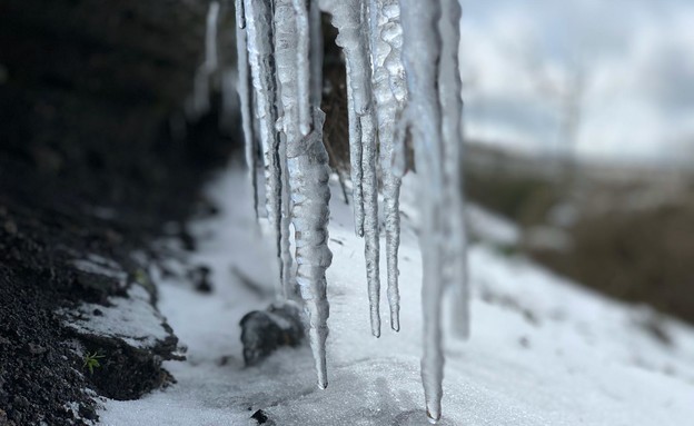 קרח ושלג בארץ (צילום: אופיר בלאו)