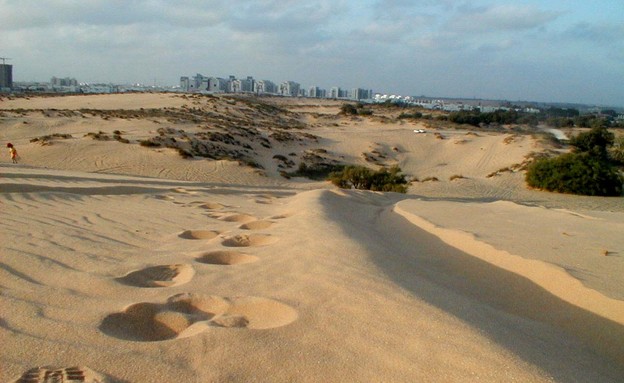 הדיונה הגדולה באשדוד (צילום: איל שפירא)