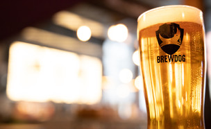 בירת Brewdog  (צילום: shutterstock_By Graeme J. Baty)