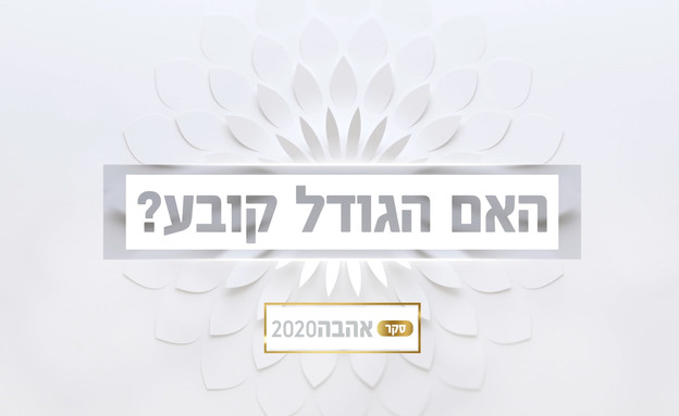 שאלנו ישראלים האם הגודל קובע?