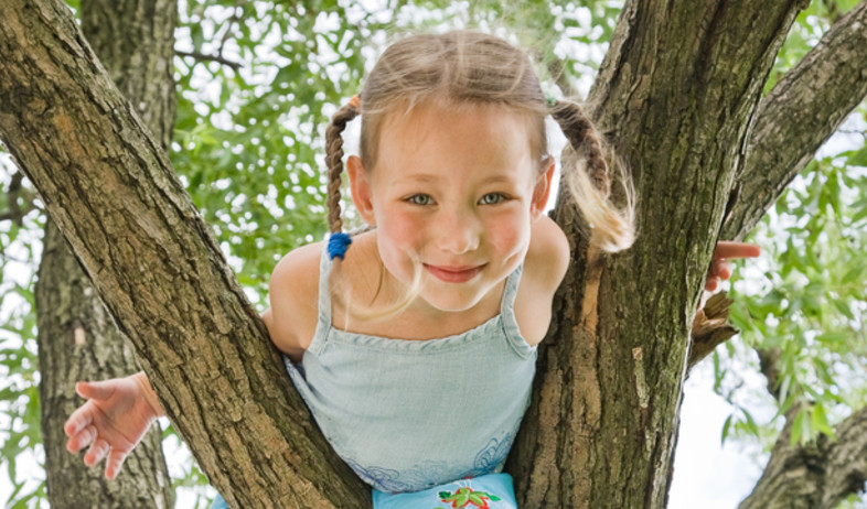 ילדה מטפסת על עצים (צילום: Gravicapa, shutterstock)