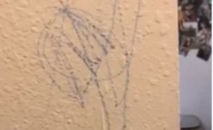 הילד צייר על הקיר (צילום: פייסבוק Jessica Hard)