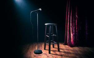 stand up comedy (צילום: Fer Gregory, shutterstock)