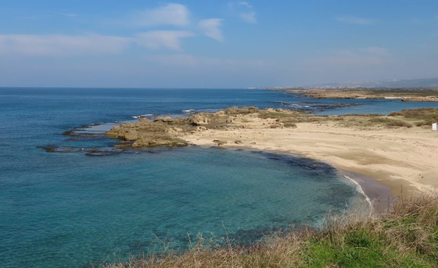 חוף דור הבונים (צילום: שרית פלצ'י מיארה)