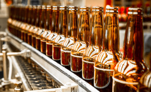 בקבוק בירה (צילום: shutterstockBy HAKINMHAN)