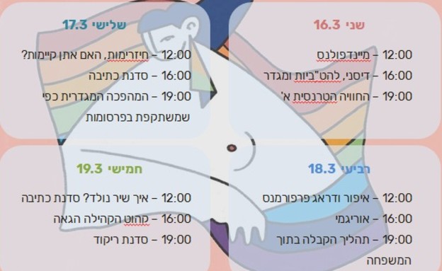 מערכת איגי בימי הקורונה (צילום: איגי)