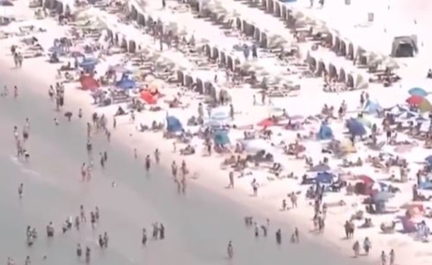 החופים מלאים, למרות הקורונה (צילום: WFLA NEWS, twitter)