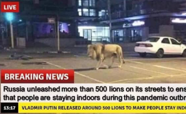 פייק ניוז אריות ברוסיה