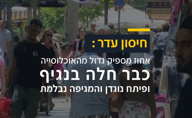 חיסון עדר