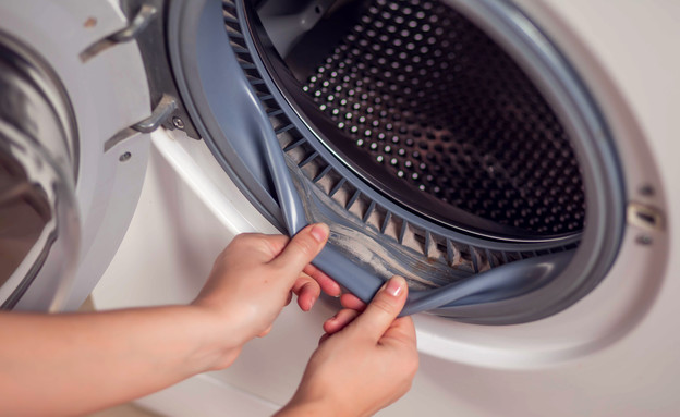 מכונת כביסה עם עובש (צילום: aleks333, Shutterstock)