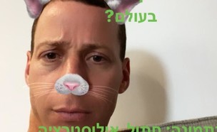 עמית סגל עם פילטר חתול. מרץ 2020 (צילום: צילום מסך מתוך עמוד האינסטגרם של עמית סגל)