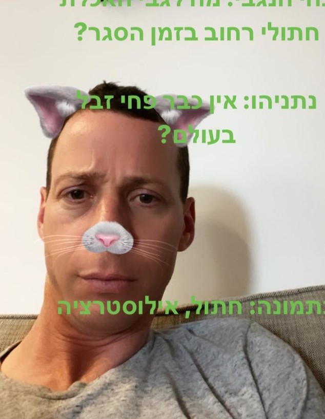 עמית סגל עם פילטר חתול. מרץ 2020 (צילום: צילום מסך מתוך עמוד האינסטגרם של עמית סגל)