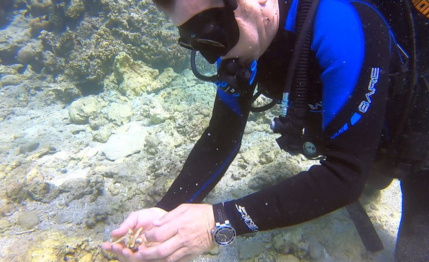 דני קושמרו בודק מה התחדש מתחת למים (צילום: N12)