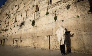 יהודי מתפלל ברחבה הריקה של הכותל המערבי במהלך מגפת (צילום: יוסי זמיר, פלאש/90 )
