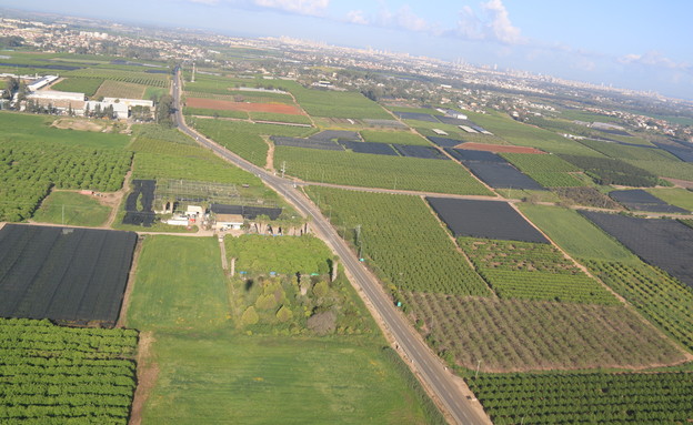 כבישים ריקים (צילום: אילן ארנון)