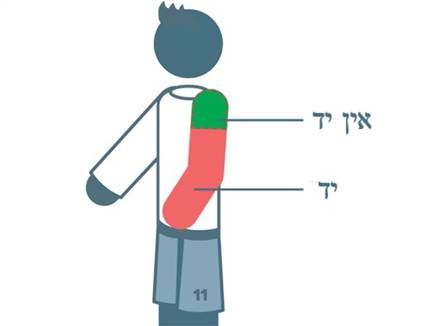 חוקי היד החדשים (IFAB) (צילום: ספורט 5)