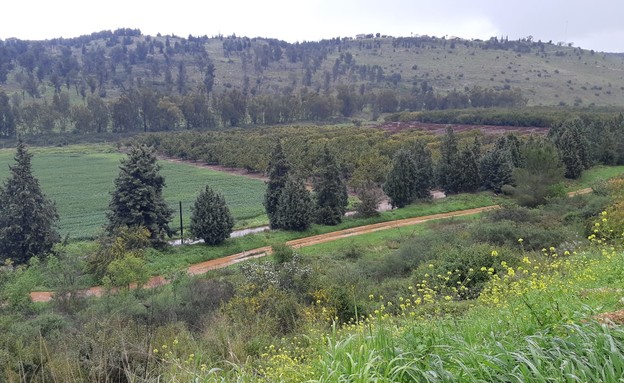 כוכב יאיר (צילום: איילת גז)