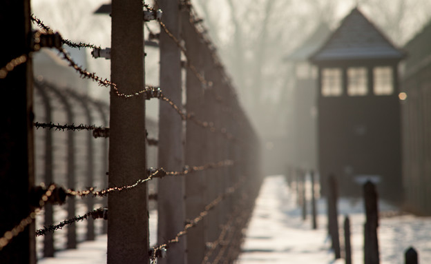 יום השואה (צילום:  Szymon Kaczmarczyk | shutterstock)