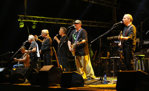 להקת כוורת  (צילום: Photo by Moshe Shai/Flash 90)