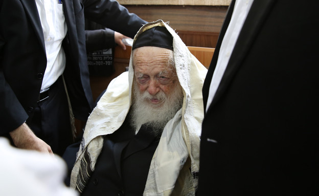 הרב קנייבסקי (צילום: Photo by Yaakov CohenFlash90)