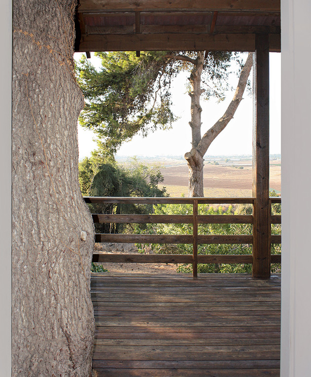 מרפסות שוות, הבית עם 2 העצים גולני אדריכלים - 2 (צילום: גולני אדריכלים)