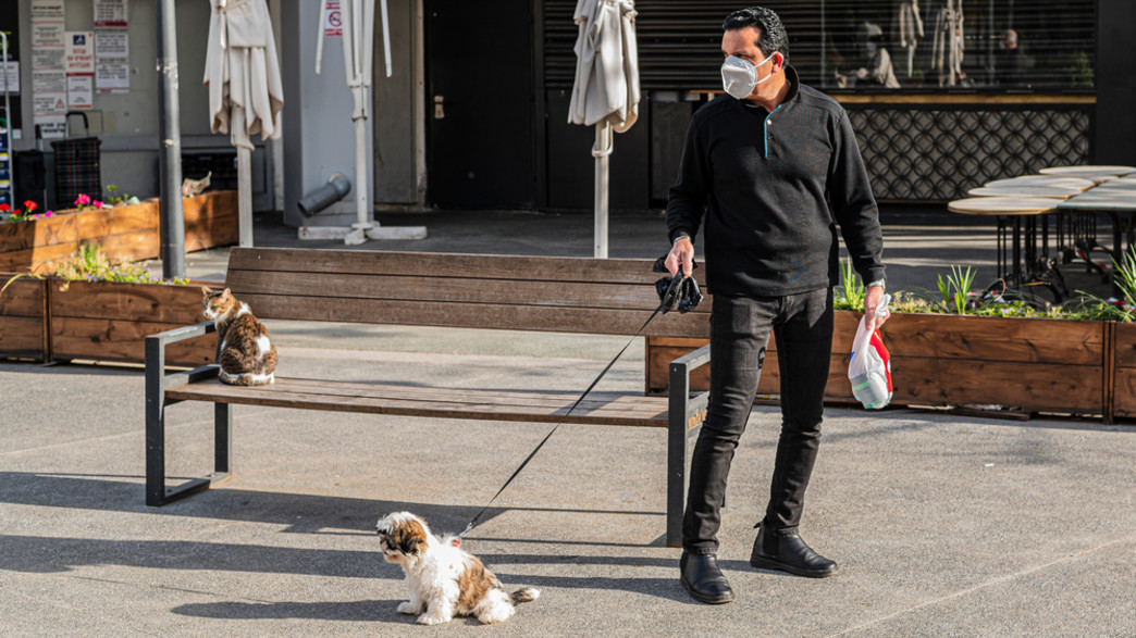 אדם במסיכה מטייל עם הכלב בתל אביב (צילום: Nikolay Litvak, shutterstock)