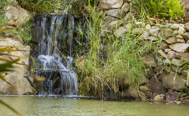 גן בוטני אילת (צילום: Amalia Lukash ! shutterstock)