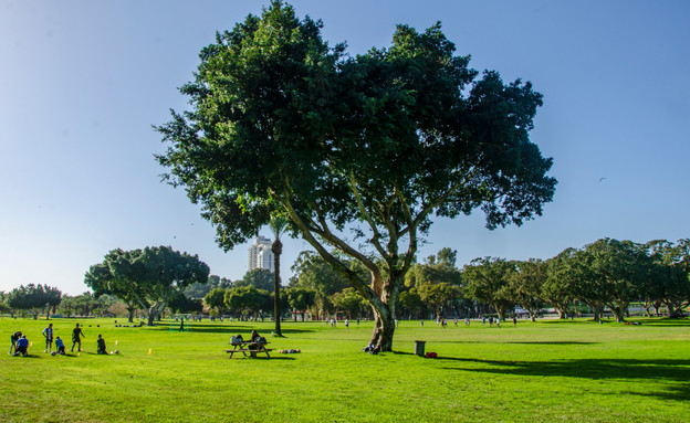 הפארק הלאומי  (צילום: Nikolay Litvak | shutterstock)