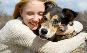 אימוץ כלבים (צילום: Christin Lola | shutterstock)