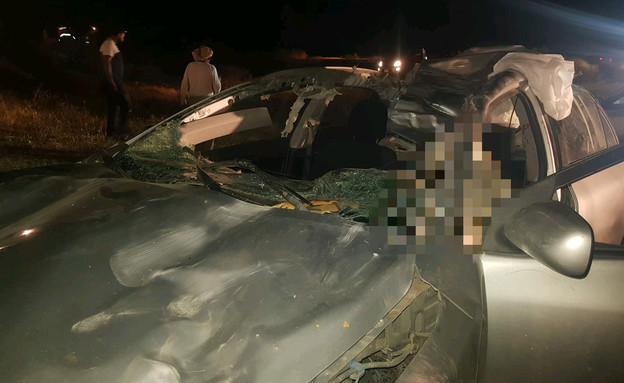 זירת התאונה בדרום שבה נהרג גבר שהתנגש בגמל (צילום: תיעוד מבצעי מד"א)