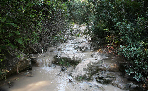 נחל ברק בן אבינעם (צילום: יעקב שקולניק, ארכיון הצילומים של קק